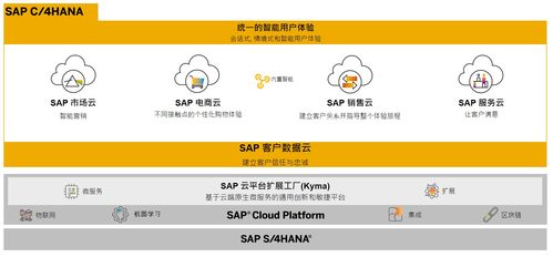 SAP商務云產品自學指南 電商云、銷售云與營銷云業務知識入門